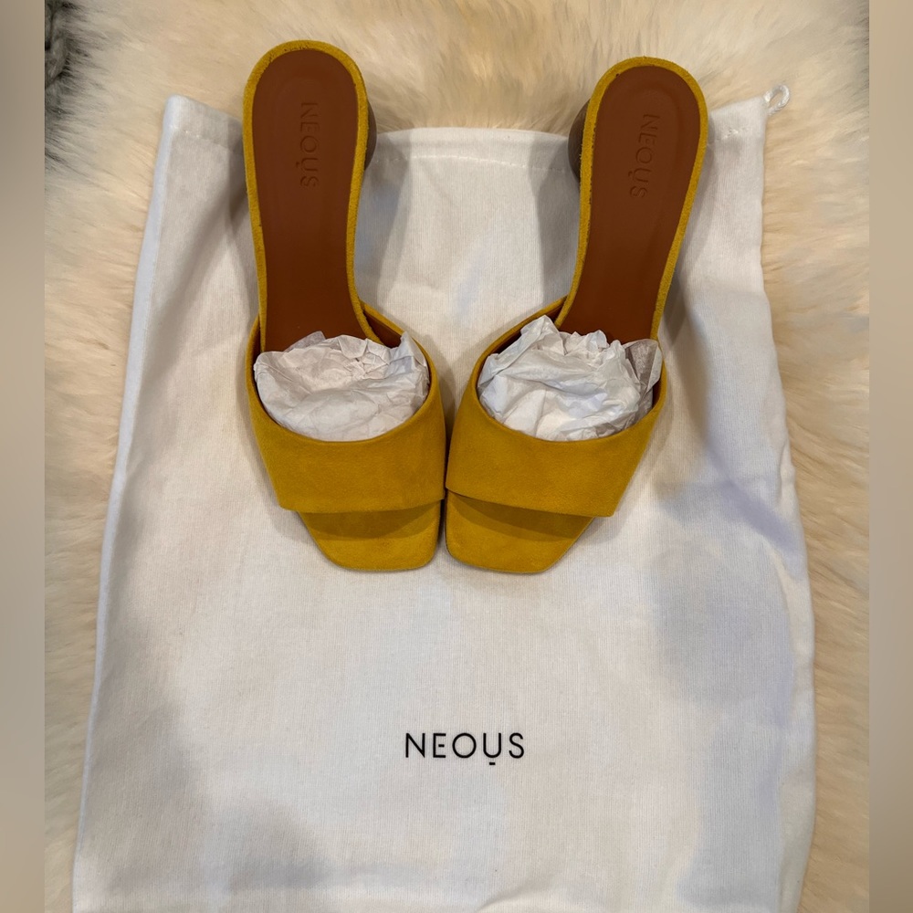 Neous Slide - Picture 2 of 6